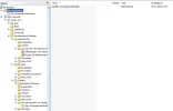 Printscreen.webp