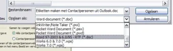 Opslaan als.webp