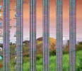 beeldscherm.webp