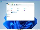 W11.webp