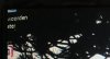 jpg_0098.jpg