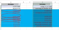 datums.webp