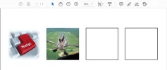 003.webp
