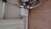COAX (2).webp COAX (2).webp