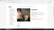 Webshop.webp