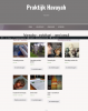 Screenshot 2021-11-17 at 11-37-23 Categorie Fotoreading - orakelkaart - speed consult.png