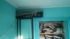 IMG-20220326-WA0026.jpeg