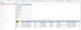 access voorbeeld 2 data sheets.webp