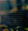 Screenshot 2022-05-11 at 17-35-35 Glashelder wandelcoaching.webp