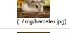 pdf hamster.webp