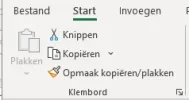 Opmaak kopieeren plakken.webp