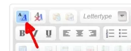 wysiwyg.webp