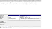 schij 1.webp