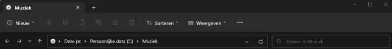 lint.webp