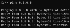 ping.webp ping.webp