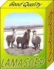 lamasoep.jpg