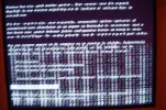 DSC02102 (Small).webp