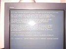 1166910994NPIC_0017.webp 1166910994NPIC_0017.webp