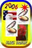 test_2oo6_collage_kl.jpg