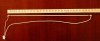 sized__DSC0051 2e paging.JPG