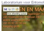 naamloos.webp