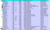 1-chrome started normal.webp