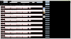 2023-05-29 (1).png