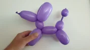 254864475_10226847577756920_597265552825633780_n.webp
