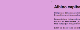 Schermafbeelding 2023-11-13 083047.png