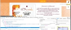 Schermafdruk van 2024-03-04 17-21-21.webp
