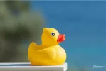 Vink 2.webp Vink 2.webp