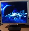 Acer.jpg