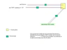 adsl schema.webp