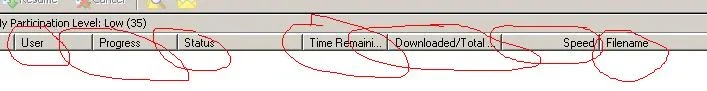 kazaalitetraffic-1.webp