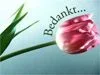 bedankje.webp