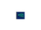 icon.webp