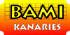 bami2.gif