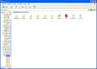 cd beet.webp
