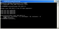 Ping.webp