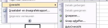 overzicht.webp