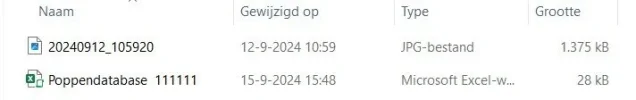 Schermafbeelding 2024-09-15 181206.webp