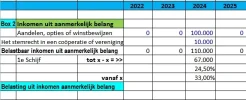 Formule aanmerkelijk belang.jpg