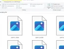 Knipsel.webp