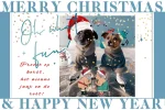 kerst 24-25.webp