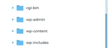 Screenshot 2025-01-12 at 18-52-09 s213.webhostingserver.nl View Files.webp