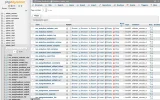 ss1_phpmyadmin.webp