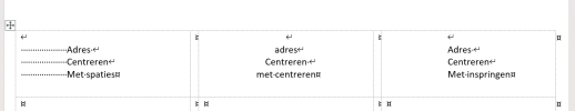 Schermafbeelding 2025-02-02 182032.png