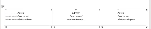 Schermafbeelding 2025-02-02 182032.webp