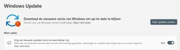 Windows 22H2 upate gestopt.webp