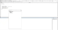 VBA Venster.webp
